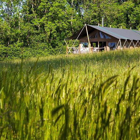 Brocklands Farm Glamping Hotel Petersfield Exterior photo